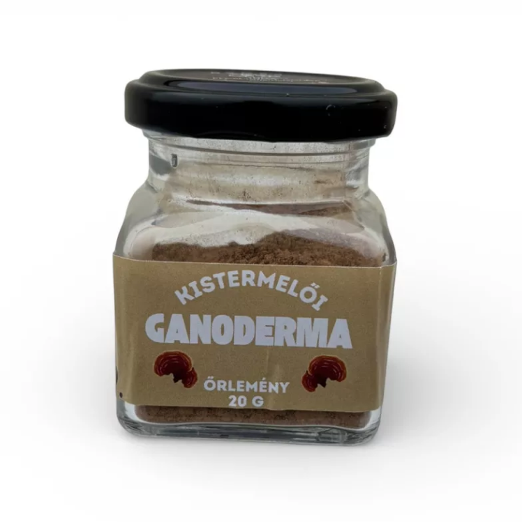 Ganoderma gomba őrlemény