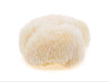 Süngomba 250 g