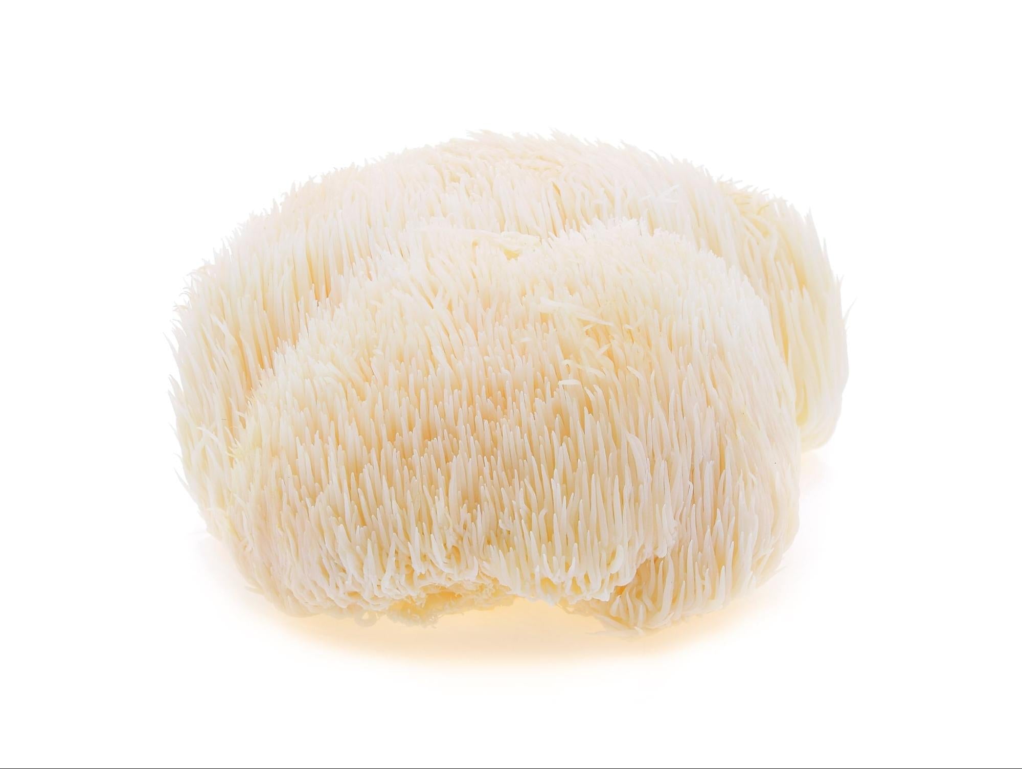 Süngomba 250 g
