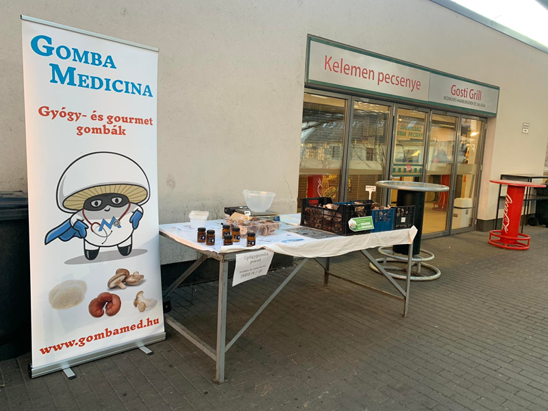 A Gomba Medicina standja egy rendezvényen