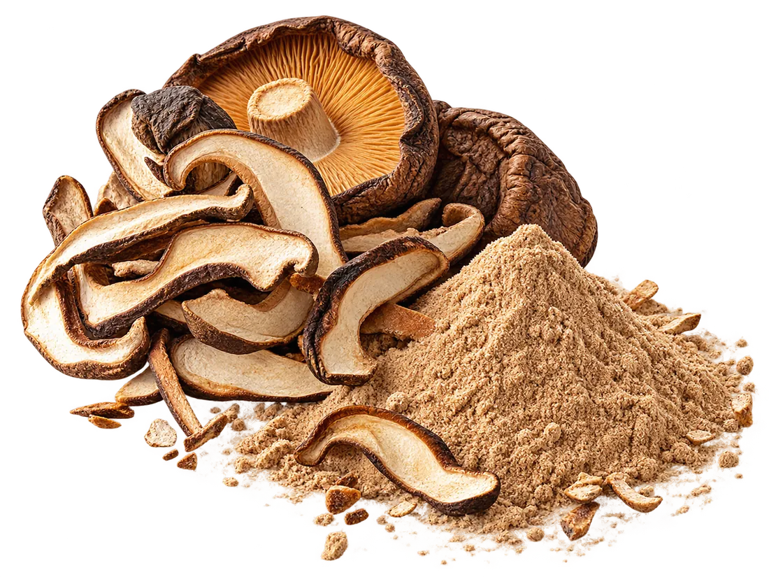 Szárított shiitake gombák és finom shiitake őrlemény